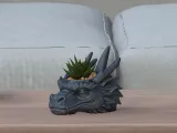 Dragon Head Succulent Planter-1