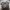 Pug Hueforge 200x200 Black & White