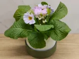 Classic planter (plain)-0