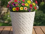 FLOWER POT-1