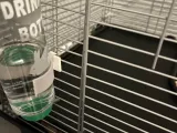 Automatic waterer clip-4