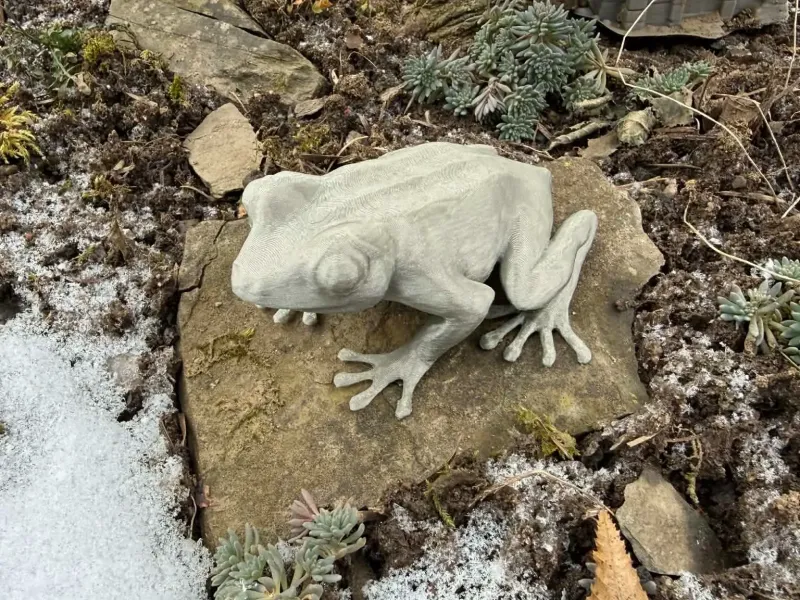 Realistic sitting frog