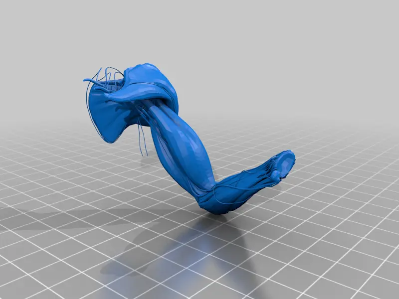 Flexing arm - geneus biologis - dark mech - gubbins