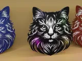 gatto tenace-1