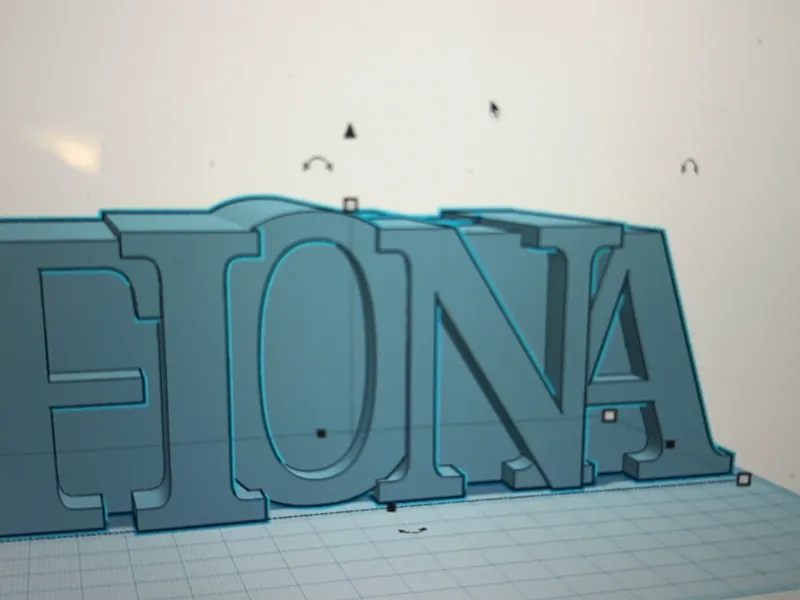Fiona Money Box