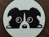 Border Collie Coaster-0