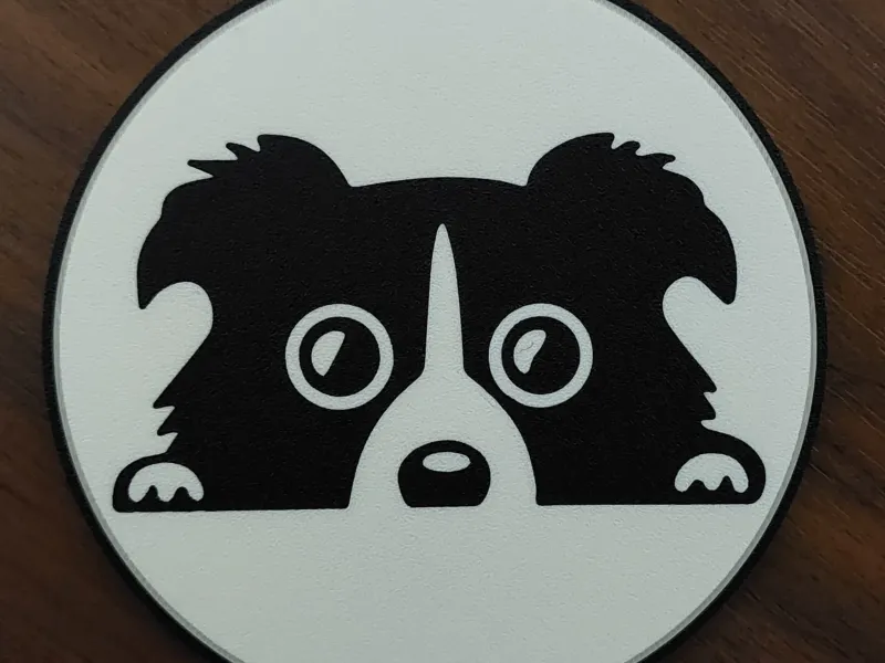 Border Collie Coaster