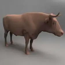 boi 3d