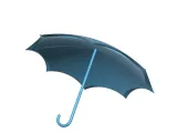 Umbrella-0