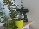 Plant supports with bee pattern-0