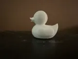 Rubber Ducky-4