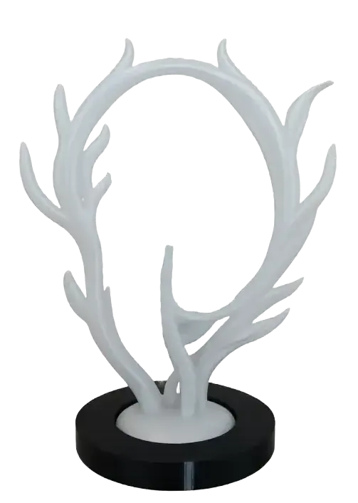 SILICONE EAR DISPLAY @STUDIOSELVAS