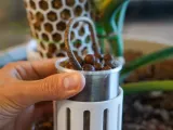 RootDock Planter - Direct-to-Soil Propagation Pod-4