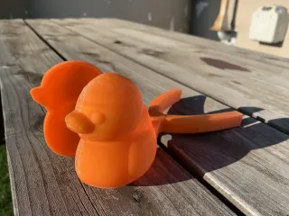 Snow Duck Mold