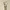 Romantic couple statue
