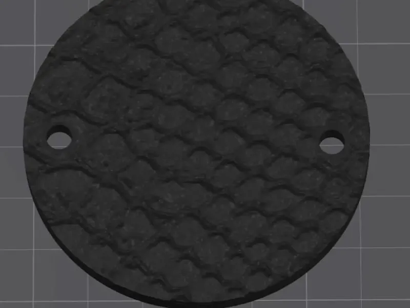 Harley Davidson M8 timing cover in snakeskin