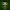 Funko Militar