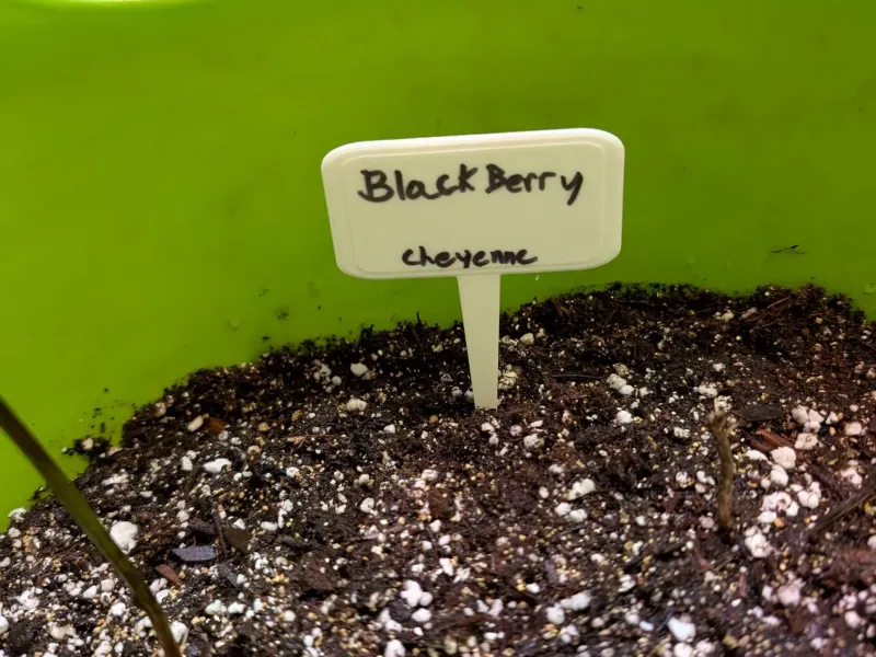 Basic Garden Sign