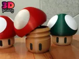 Mushroom box-1