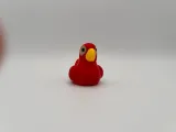 パロットダック-3
