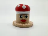 Mushroom Container-1