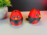 Cute Bird-7
