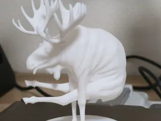moose acrobat
