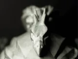 Elmo del Drago-4