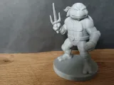 TMNT - Raphaelo-3