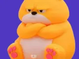 Grumpy Kitty-0