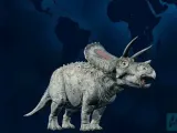 ：Torosaurus-0