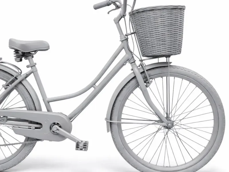 bicicleta con canasta