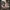 Mandalore the Ultimate Shoulder Star wars 3D DIGITAL DL