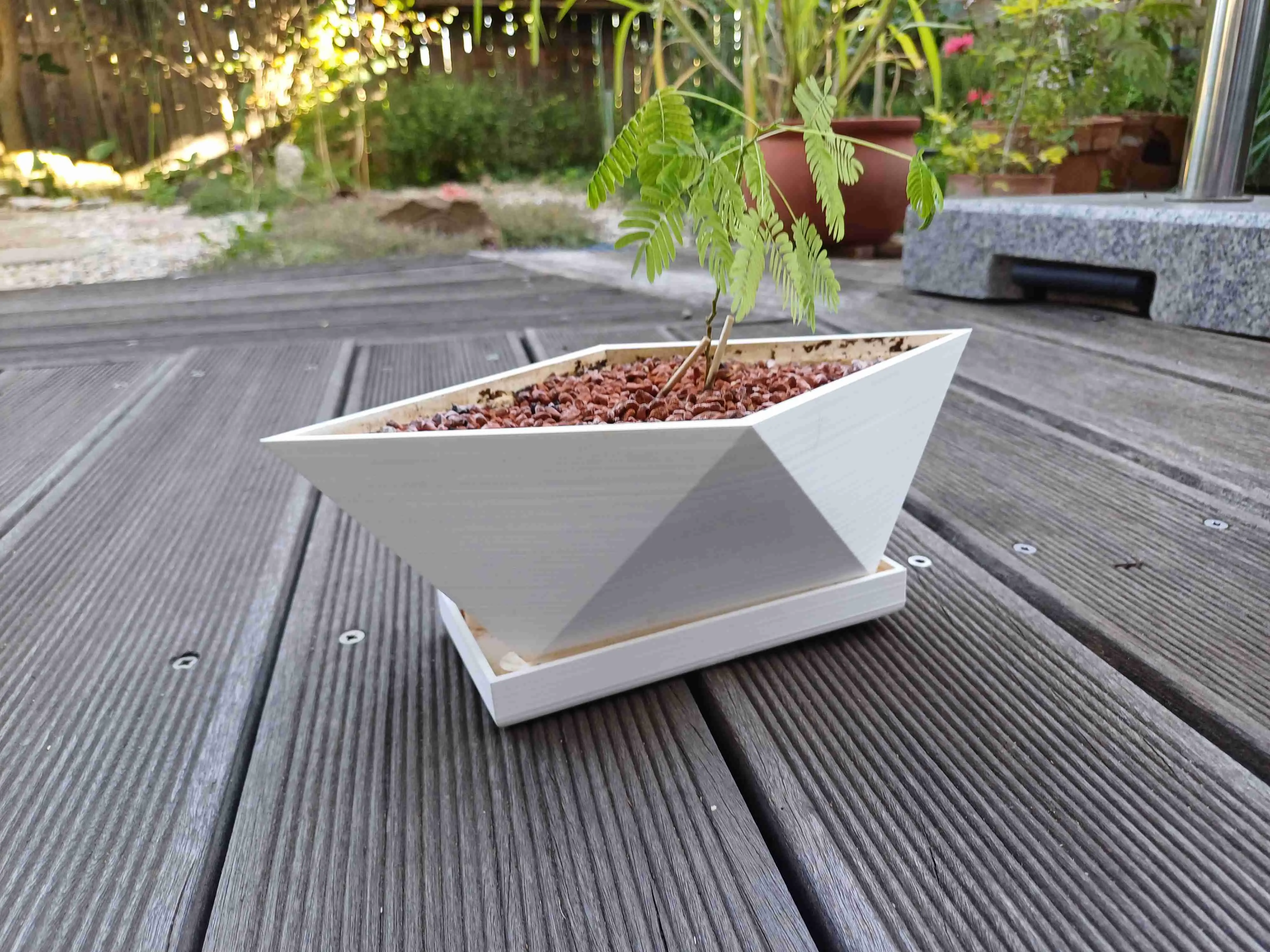 Bonsai copac Pot