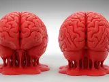melted brain-1