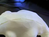 Stella, Gitar Penası Stegosaurus-4