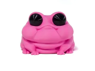 bublegum frog 