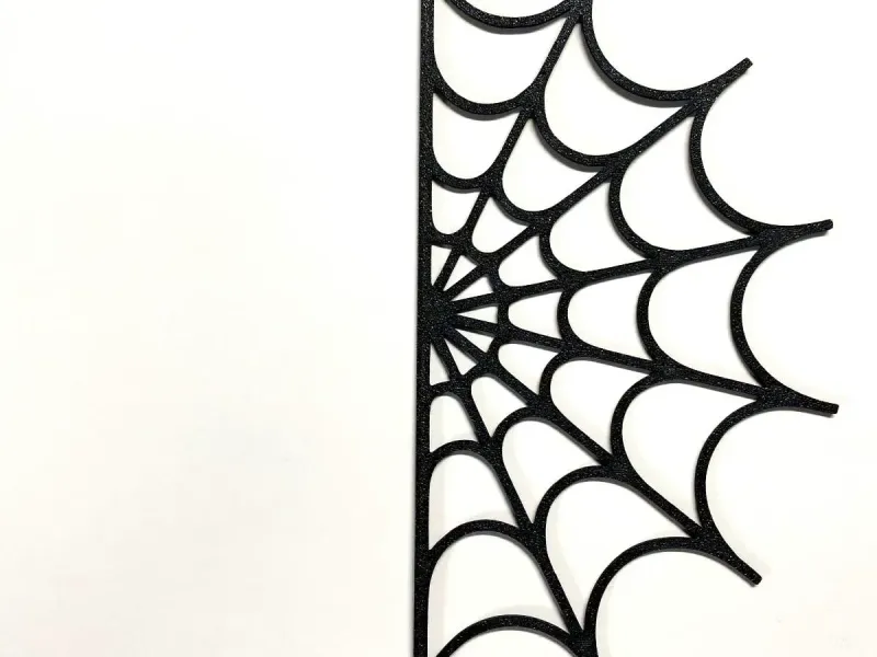 spider web