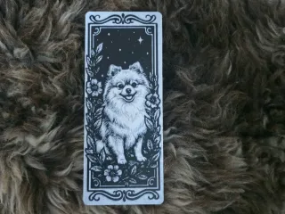 Pomeranian Fluffy Dog Portrait Bookmark