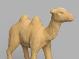 Camel-3