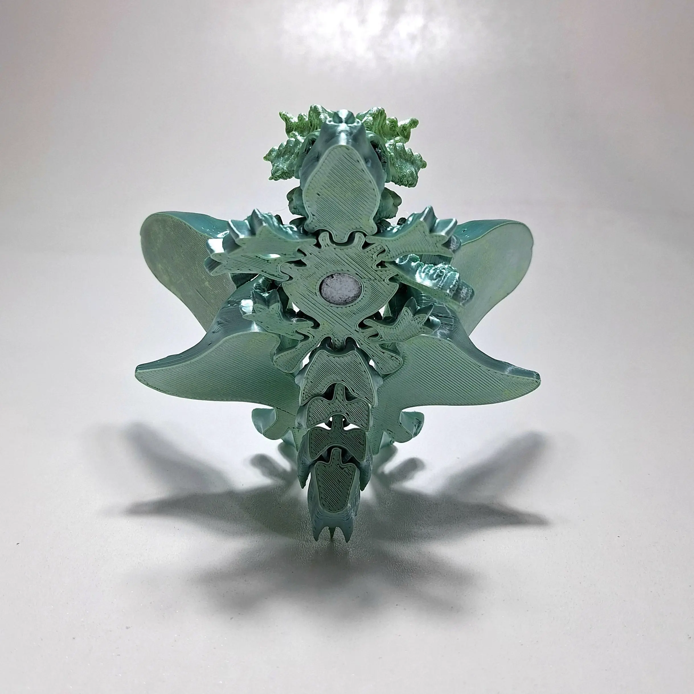 LUNA DRAGON (BUTTERFLY DRAGON!)