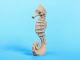 Caballo de mar-6