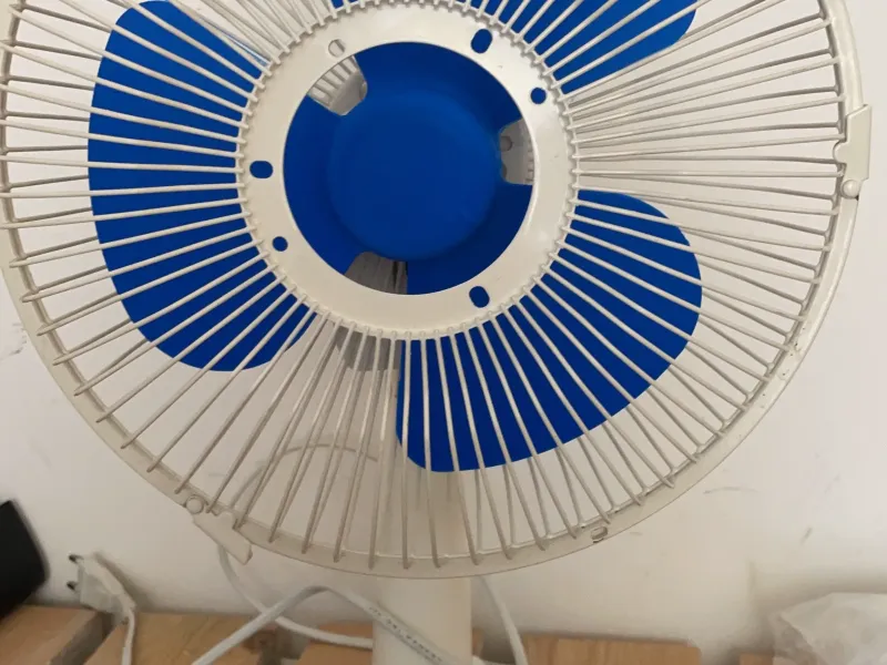Fan
