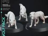 Wolf Pack - 3 models - PRESUPPORTED - 32mm scale-1