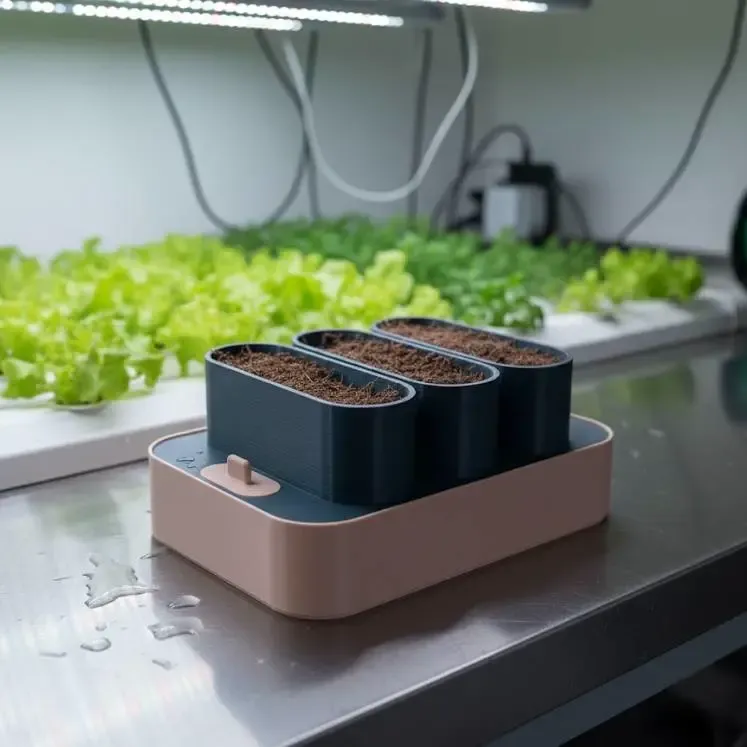 Hydroponic Setup