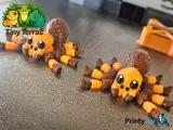 Mexican Redknee Tarantula – Tiny, Fuzzy, Poseable!-2