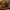 SILVESTER BUDDY / SPARKLING WINE BOTTLE ARTICULATE