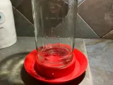Chicken Waterer-1