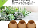 Mini Succulent Pots STL Files: Modern Planter Set #3-3