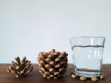Pine Cone Coasters-5